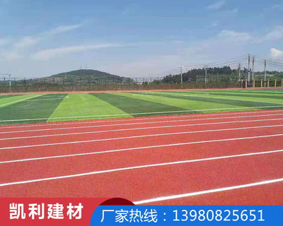 塑胶跑道草坪洼PU球场
